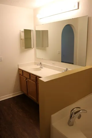 a bathroom with a sink and a mirror