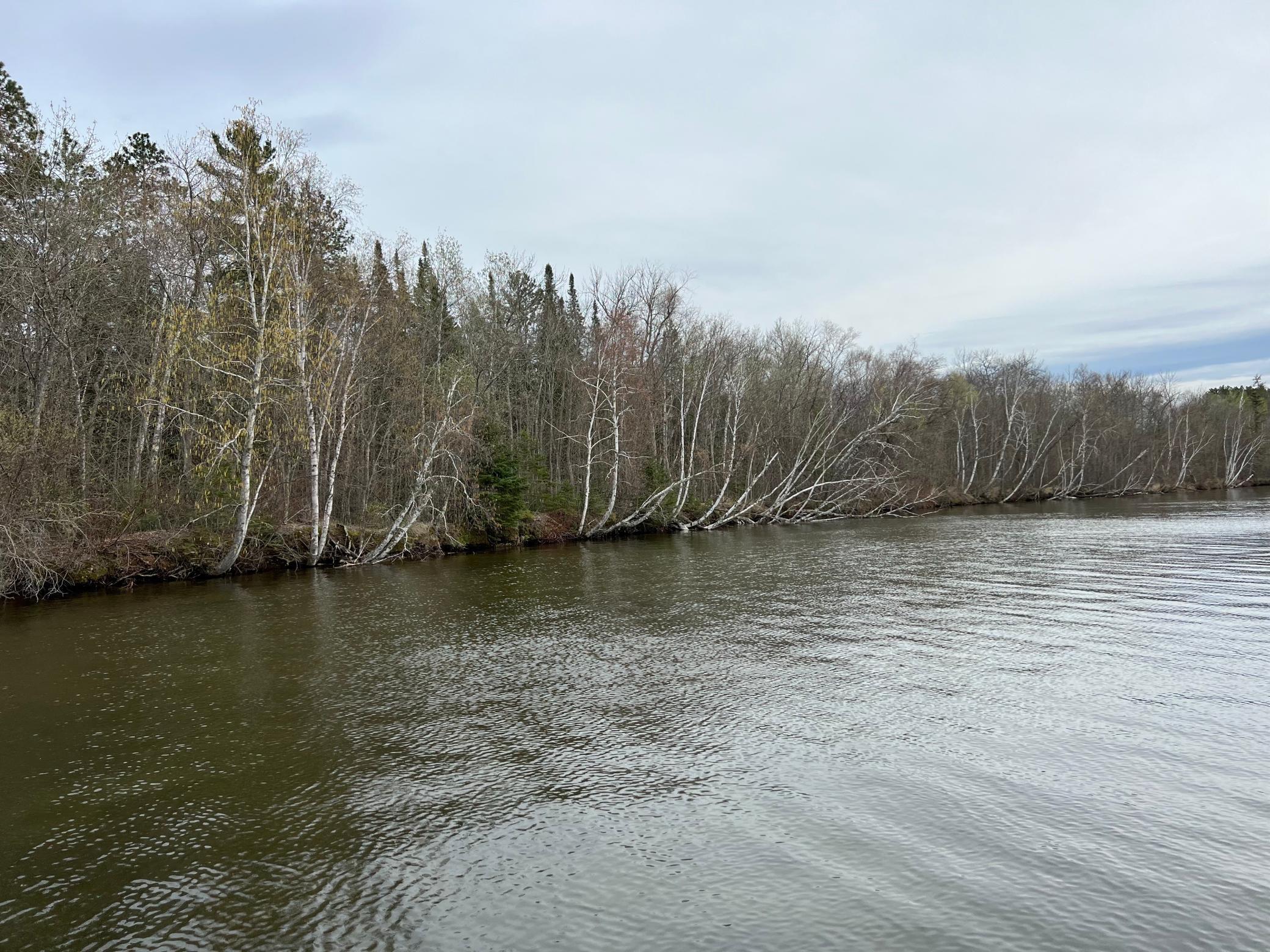 235 6th Street Northeast Outing, MN 56662 - Photo 56 of 58