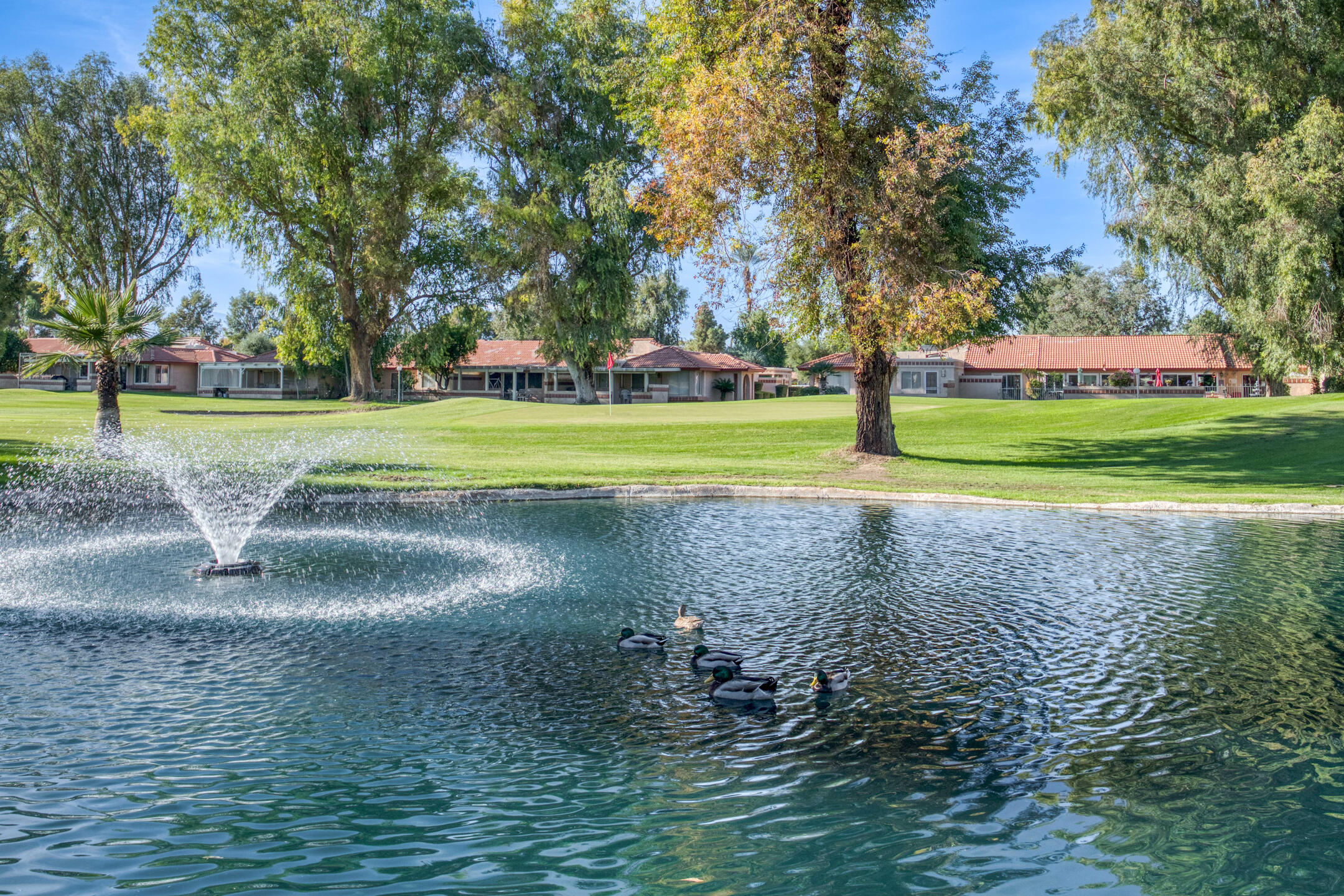 49211 Douglas Street Indio, CA 92201 - Photo 38 of 44 a view of a fountain in front of a house with a big yard