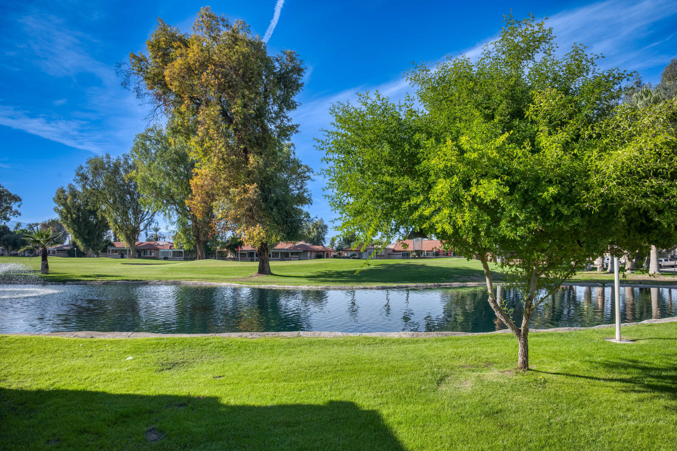 49211 Douglas Street Indio, CA 92201 - Photo 41 of 44 a view of a park with large trees