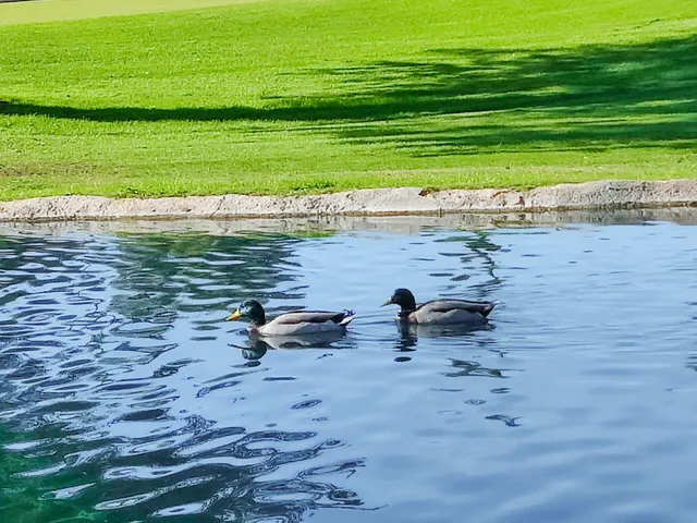 $319,900 | 49211 Douglas Street, Indio, CA 92201