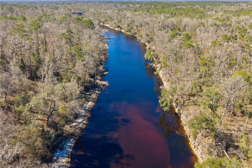12th Terrace Live Oak, FL 32060 - Photo 14 of 69 a view of entryway with flower plants