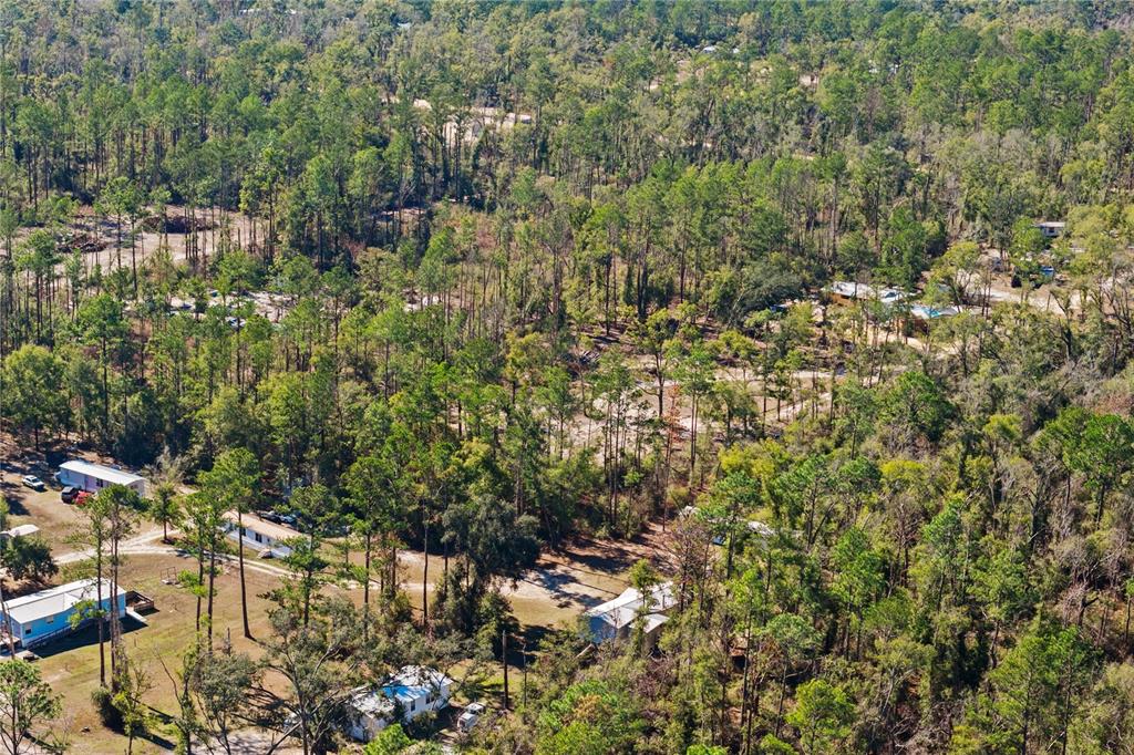 12th Terrace Live Oak, FL 32060 - Photo 15 of 69 a view of a city with lush green forest
