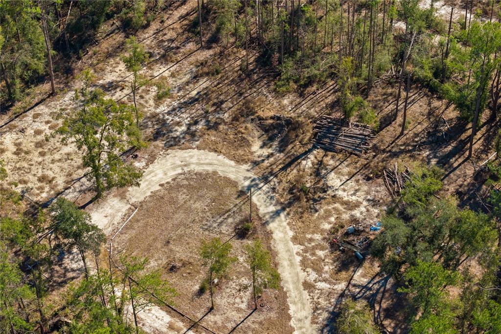 12th Terrace Live Oak, FL 32060 - Photo 33 of 69 a view of a tree in a yard