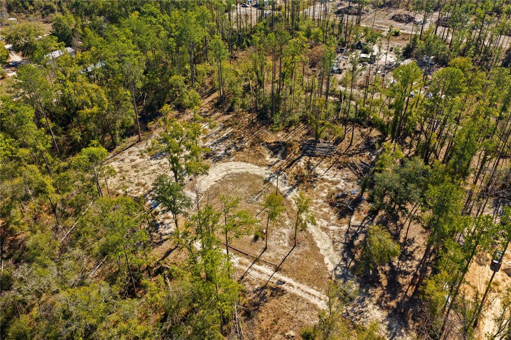 12th Terrace Live Oak, FL 32060 - Photo 43 of 69 a view of a yard