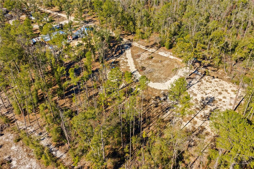 12th Terrace Live Oak, FL 32060 - Photo 44 of 69 a view of a yard