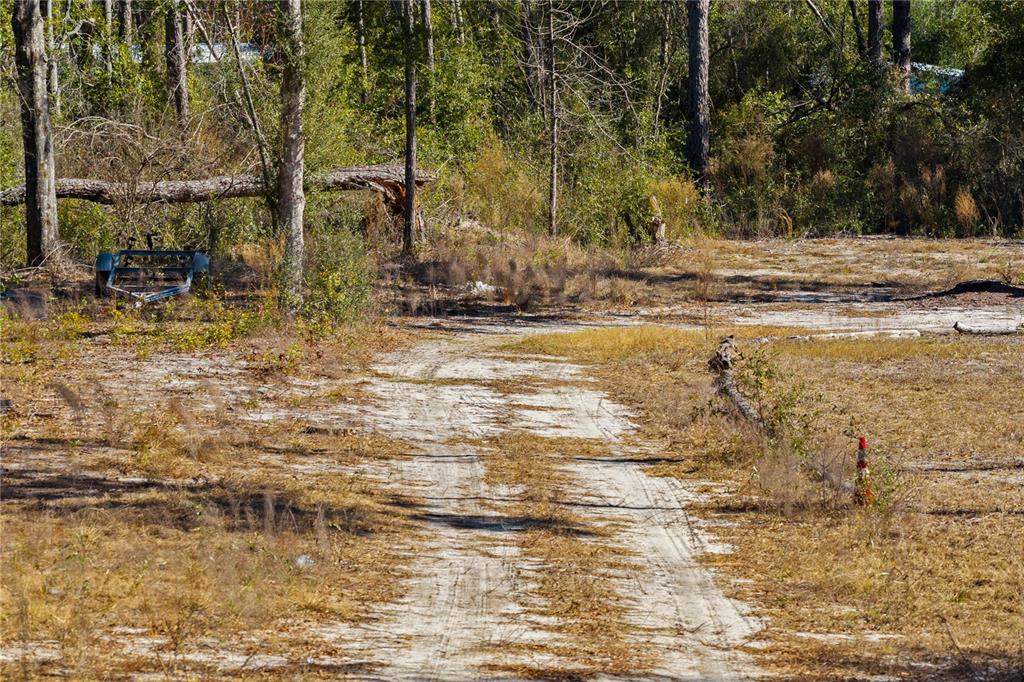 12th Terrace Live Oak, FL 32060 - Photo 50 of 69