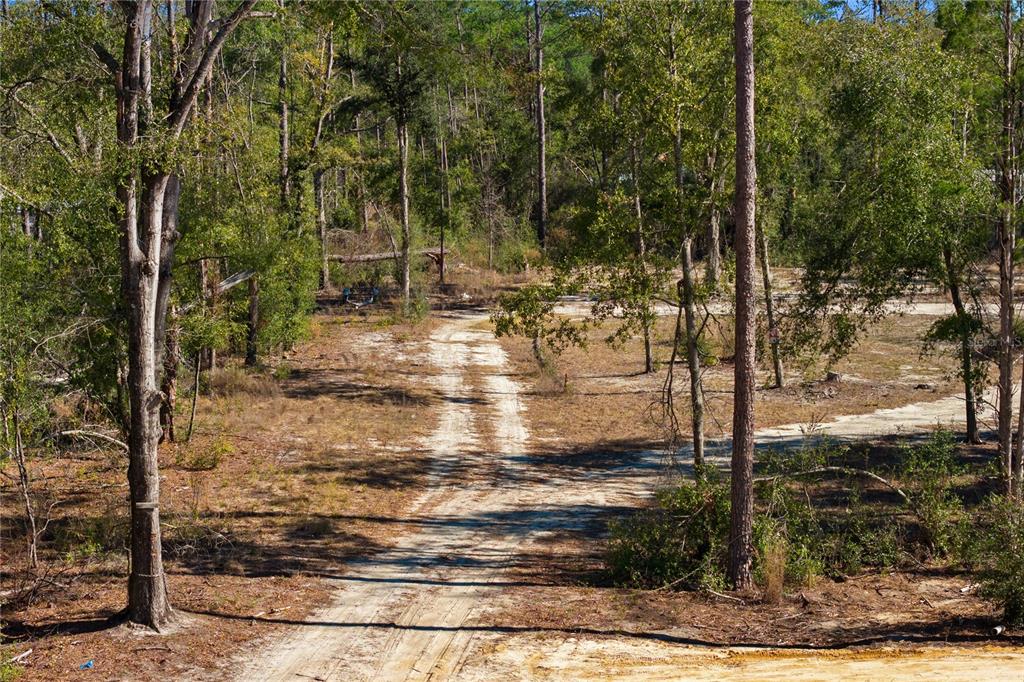 12th Terrace Live Oak, FL 32060 - Photo 51 of 69 a view of a pathway of a yard