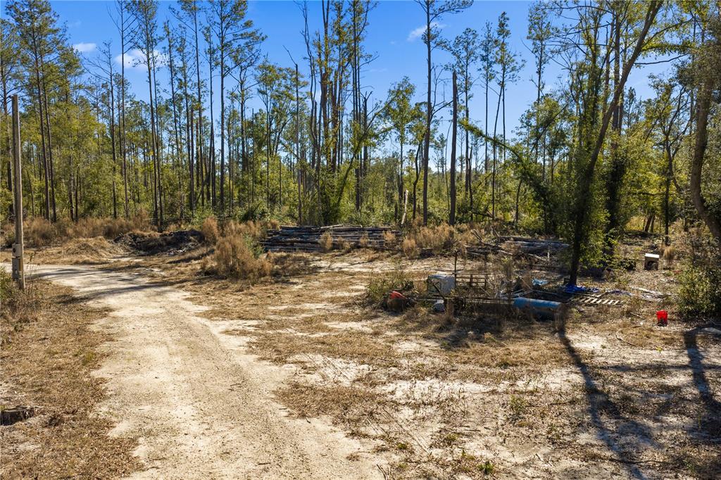 12th Terrace Live Oak, FL 32060 - Photo 55 of 69 a view of a yard with plants
