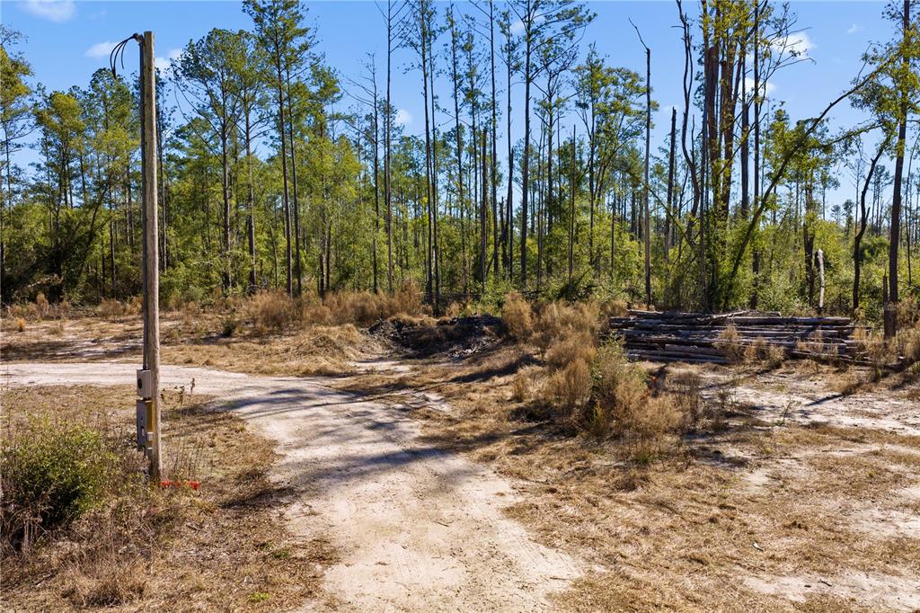 12th Terrace Live Oak, FL 32060 - Photo 56 of 69 a view of backyard with green space