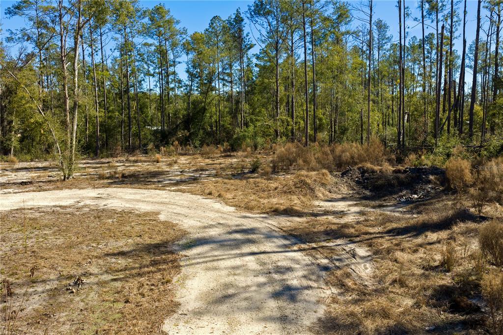 12th Terrace Live Oak, FL 32060 - Photo 57 of 69 a view of a backyard of the house