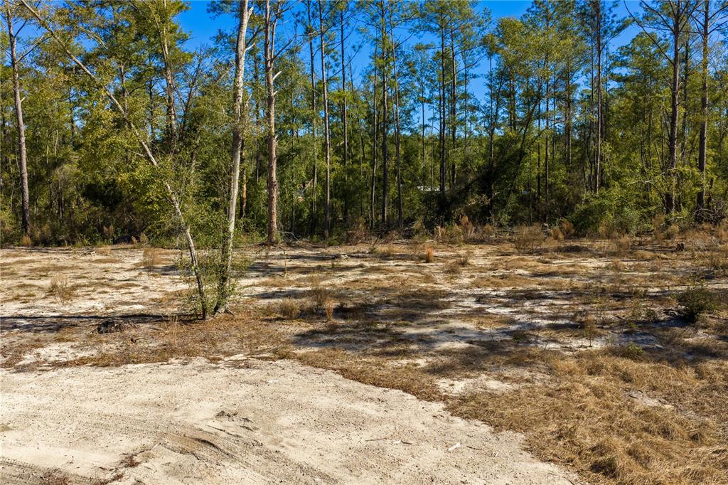 12th Terrace Live Oak, FL 32060 - Photo 58 of 69 a view of outdoor space with trees