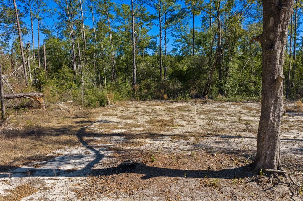 12th Terrace Live Oak, FL 32060 - Photo 62 of 69 a view of a yard with a tree
