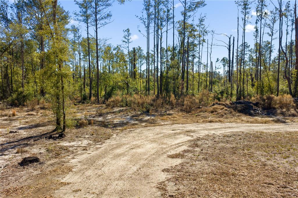 12th Terrace Live Oak, FL 32060 - Photo 63 of 69 a view of a backyard of a house
