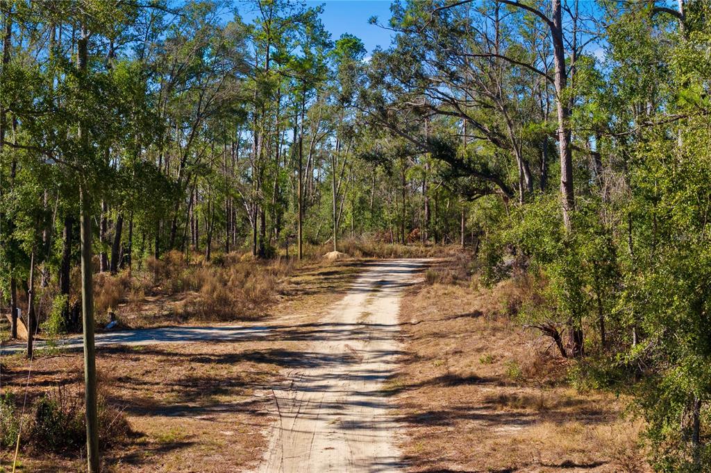 12th Terrace Live Oak, FL 32060 - Photo 64 of 69