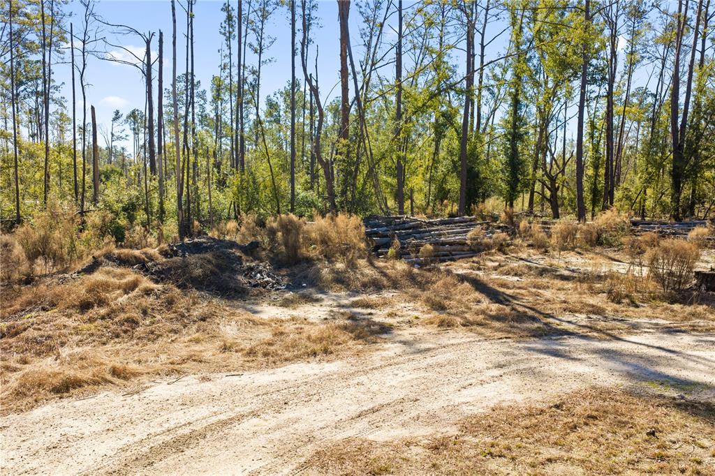 12th Terrace Live Oak, FL 32060 - Photo 65 of 69