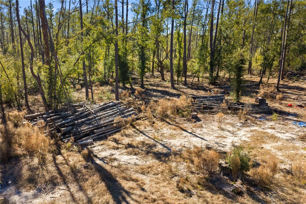 12th Terrace Live Oak, FL 32060 - Photo 66 of 69 a view of a yard with plants and trees