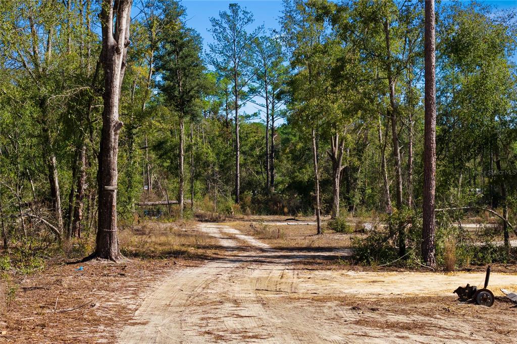 12th Terrace Live Oak, FL 32060 - Photo 67 of 69 a view of a yard with a tree