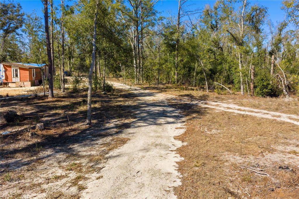 12th Terrace Live Oak, FL 32060 - Photo 68 of 69 a view of a yard with plants and trees