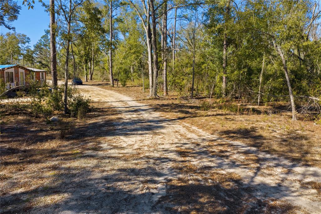 12th Terrace Live Oak, FL 32060 - Photo 69 of 69 a backyard of a house with lots of green space