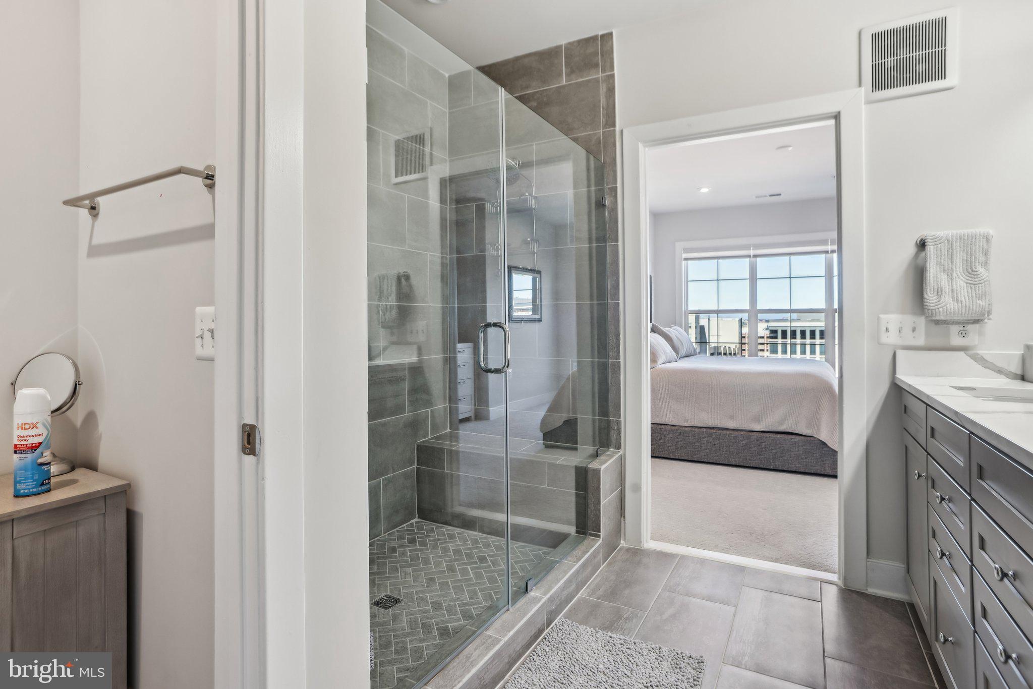 100 St Ives Place, Unit 306 Oxon Hill, MD 20745 - Photo 20 of 32 a en suite bathroom with a granite countertop tub sink a mirror and shower