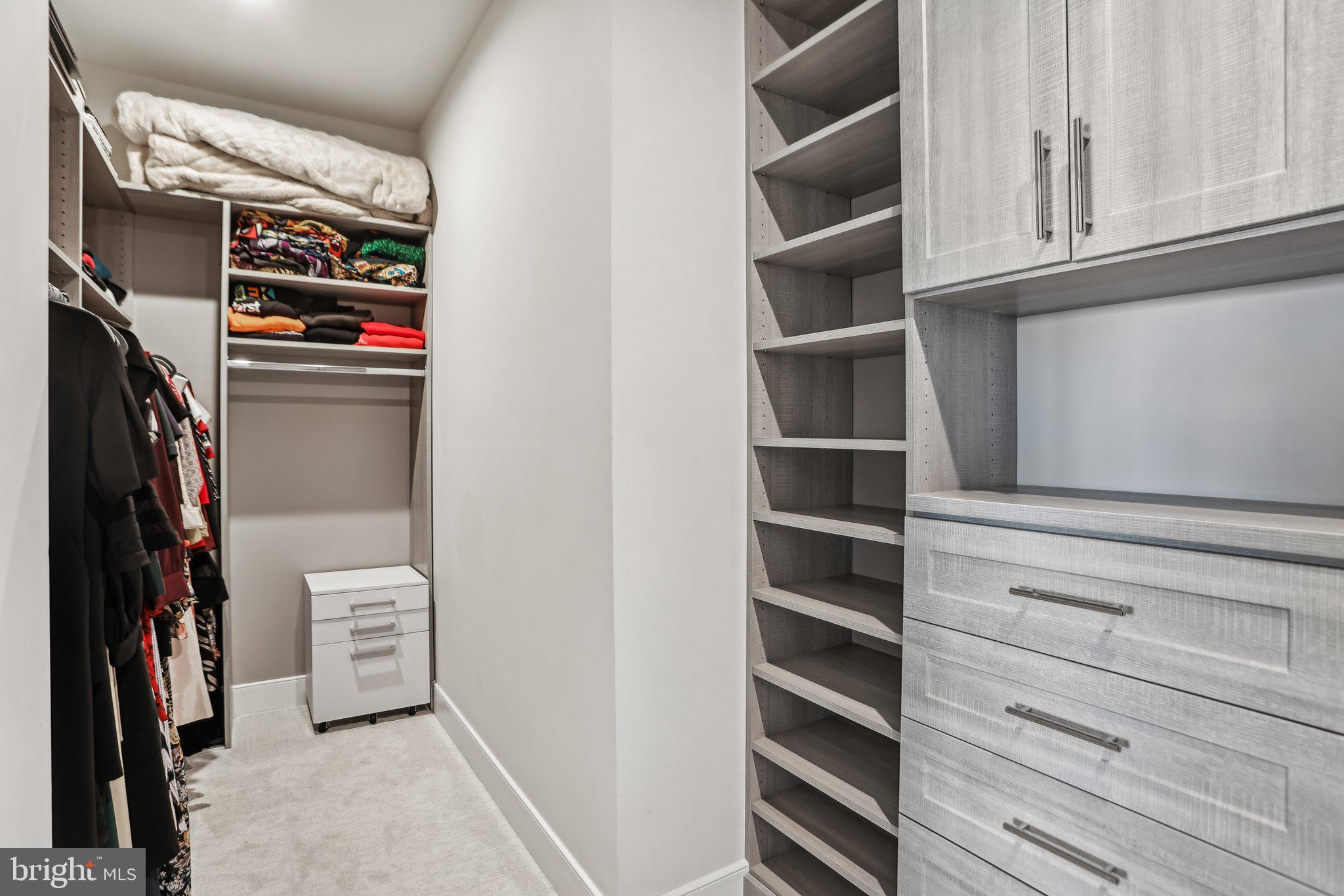 100 St Ives Place, Unit 306 Oxon Hill, MD 20745 - Photo 22 of 32 a view of walk in closet with empty racks