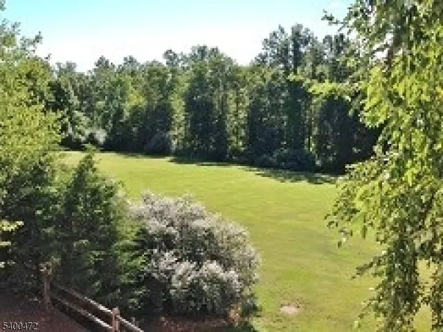 a view of yard with green space