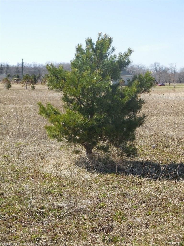 2 B Fish Lake Road Lapeer, MI 48446 - Photo 3 of 8 DSCN0366.jpg