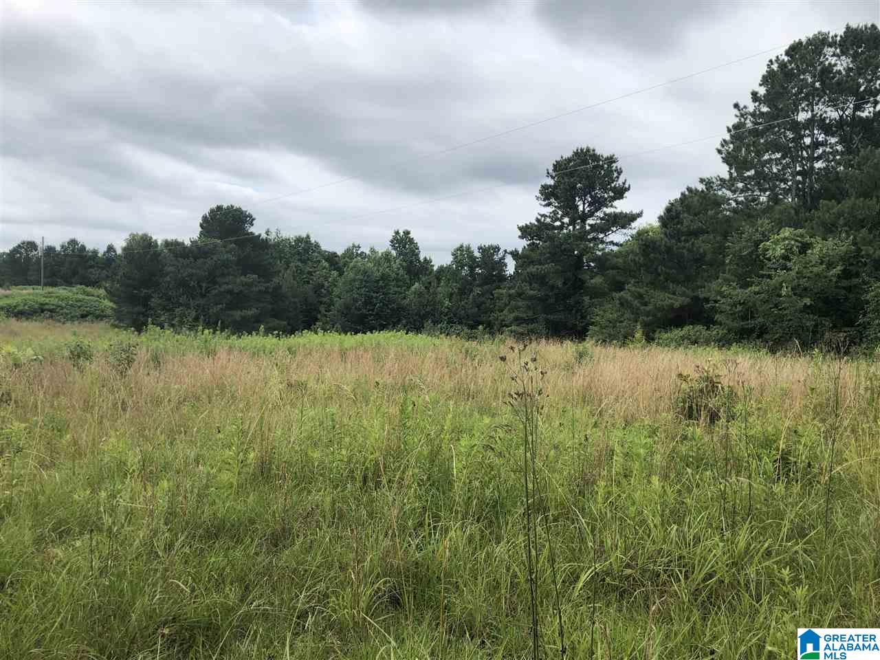 0 Maple Crest Lane Hayden, AL 35079 - Photo 7 of 30