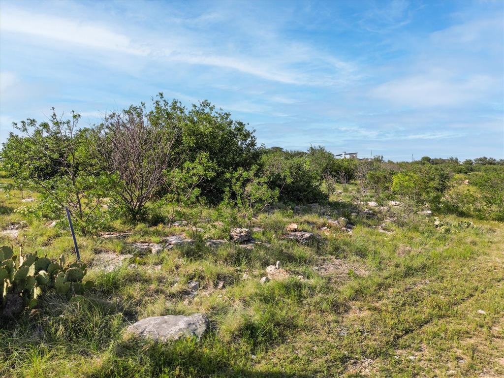 7032 Hells Gate Loop Strawn, TX 76475 - Photo 5 of 17