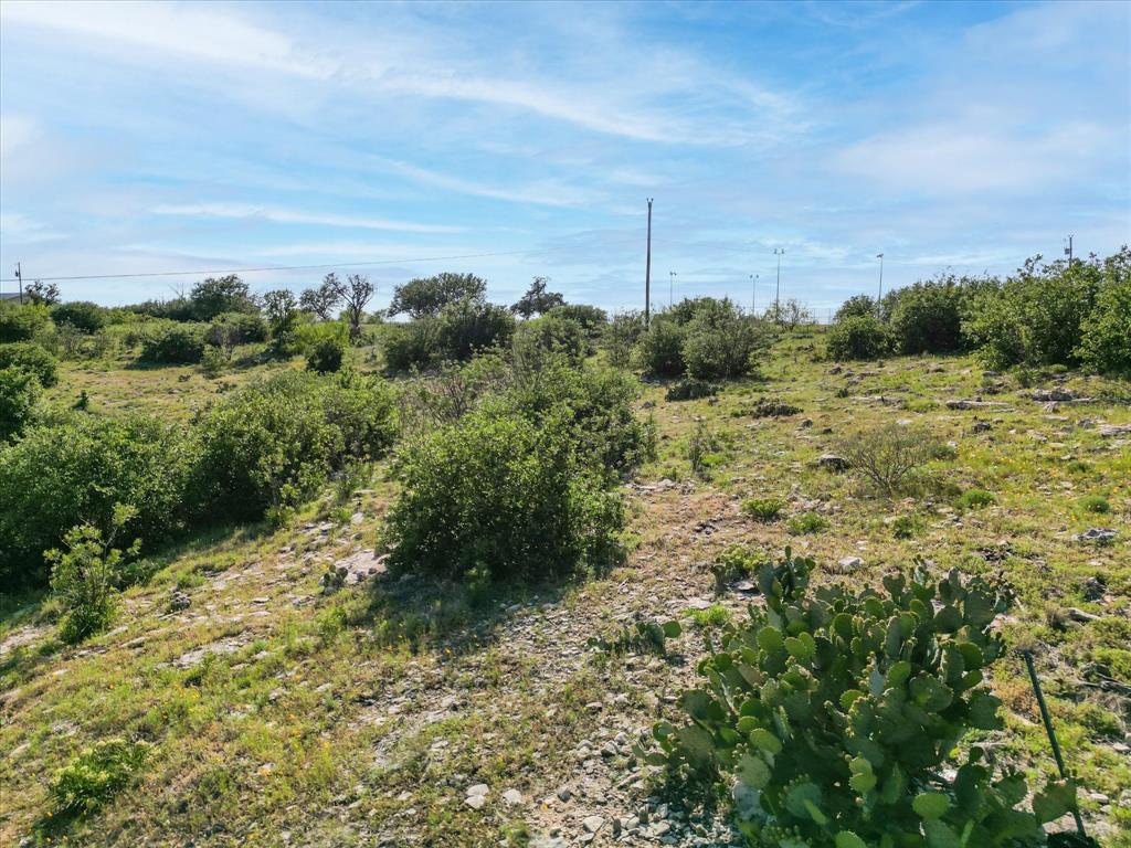 7032 Hells Gate Loop Strawn, TX 76475 - Photo 7 of 17