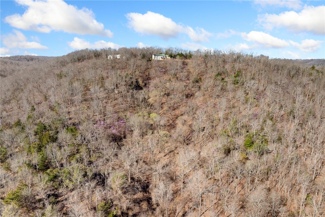 10974 Ricks Drive Harrison, AR 72601 - Photo 50 of 59 View of tree filled area