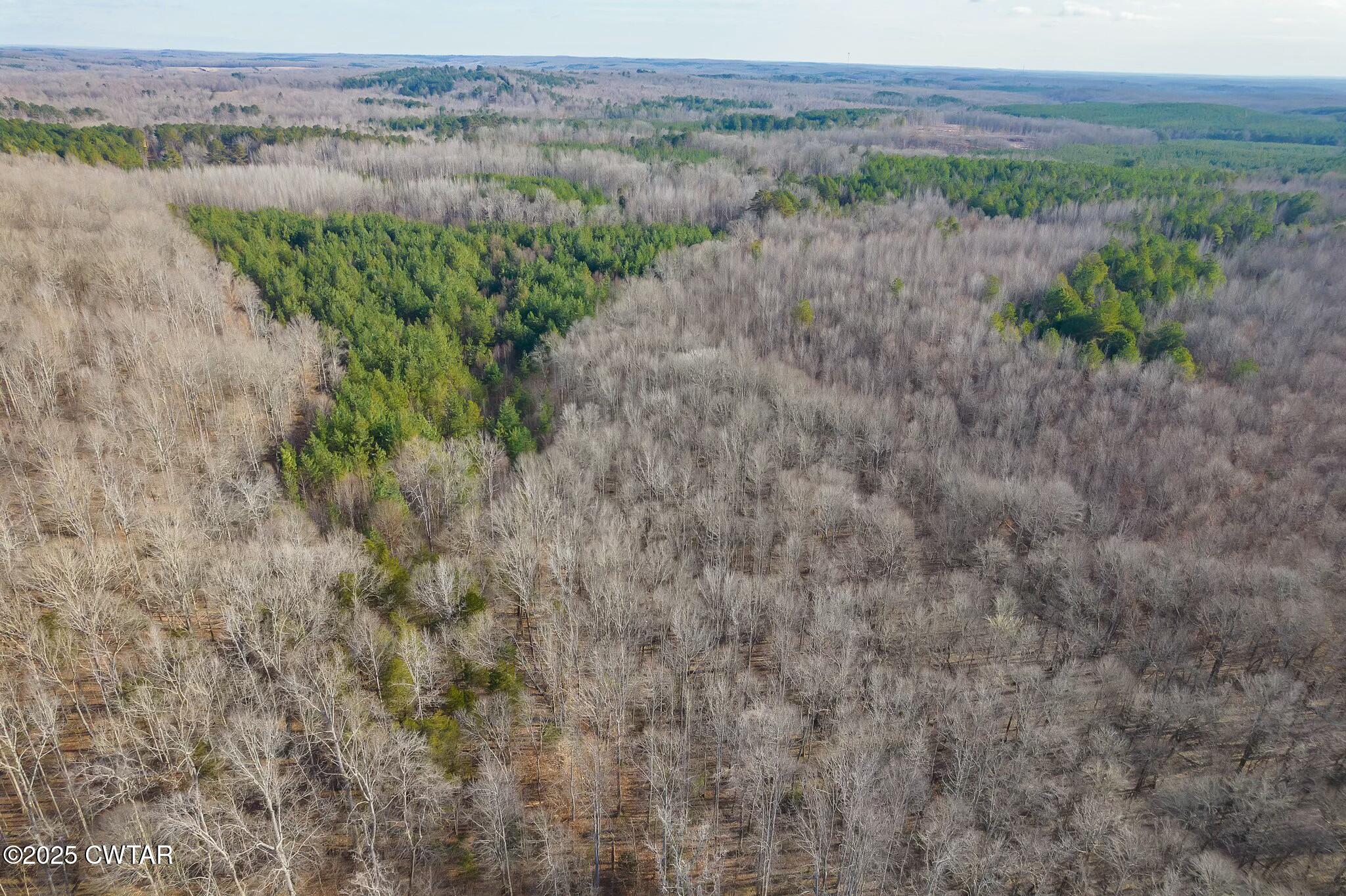 2410 Carroll Road Enville, TN 38332 - Photo 13 of 25 tempImagedBMXzx