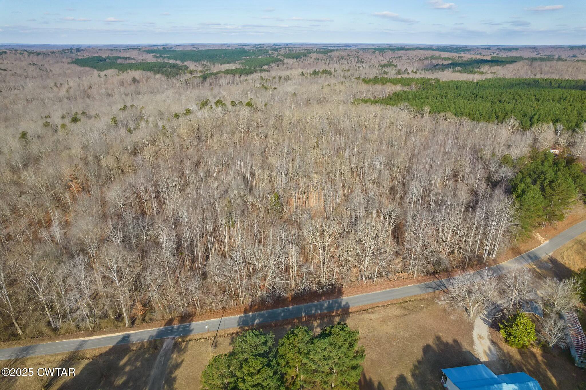 2410 Carroll Road Enville, TN 38332 - Photo 17 of 25 tempImageTx7CMJ