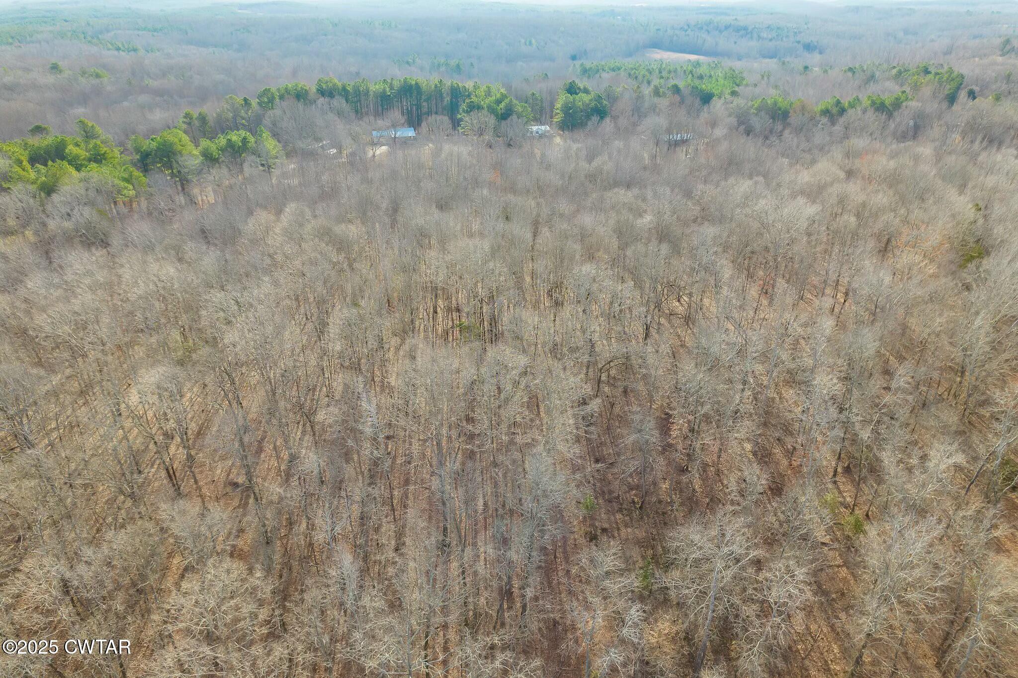 2410 Carroll Road Enville, TN 38332 - Photo 20 of 25 tempImagePGMSBf
