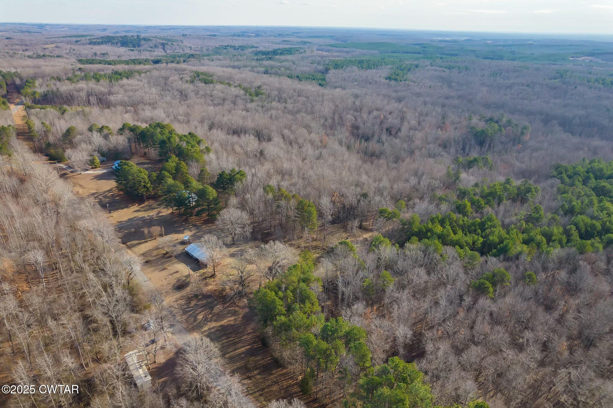 2410 Carroll Road Enville, TN 38332 - Photo 8 of 25 tempImagegfhXhl