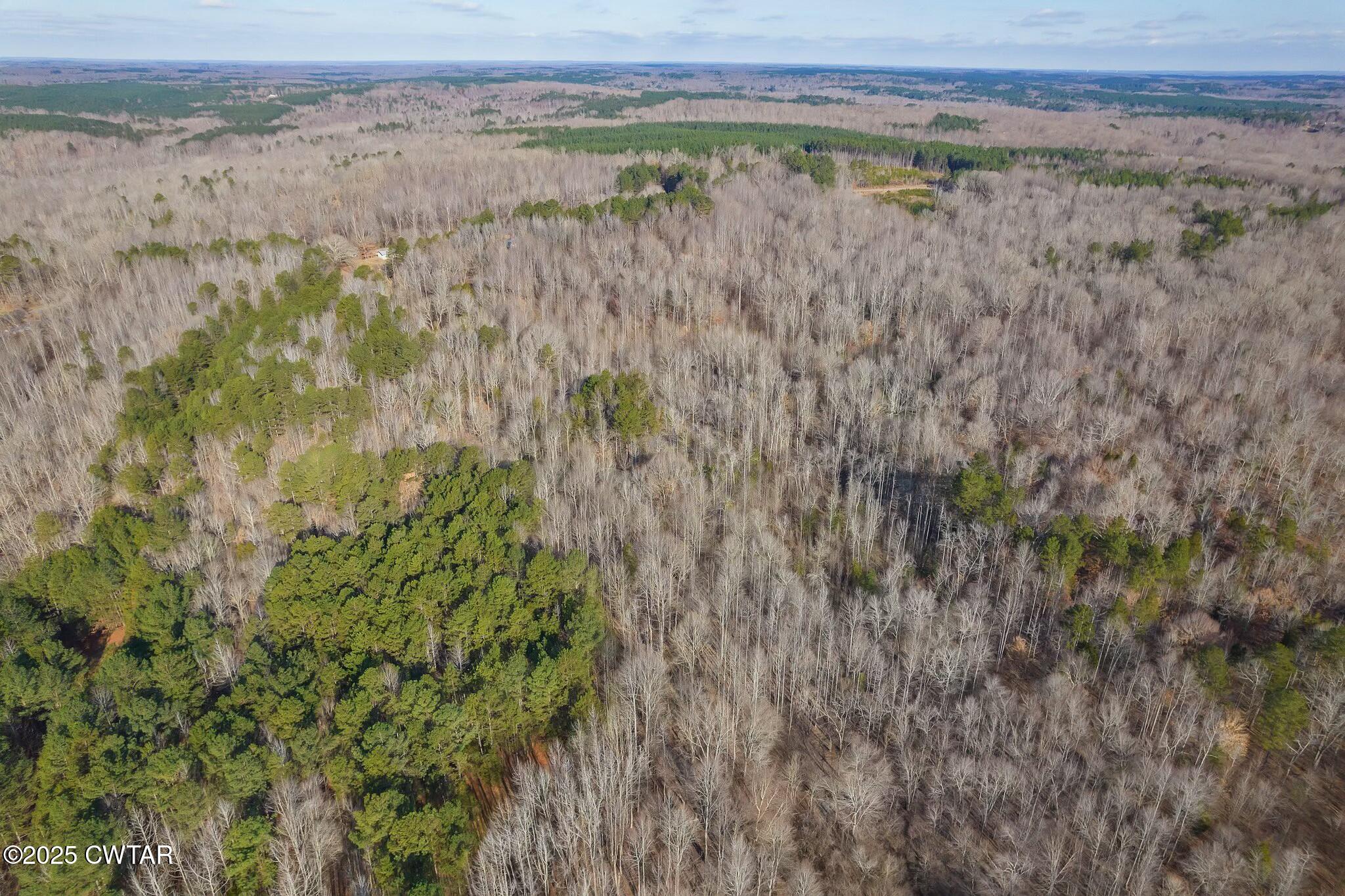 2410 Carroll Road Enville, TN 38332 - Photo 9 of 25 tempImagecwAnuc