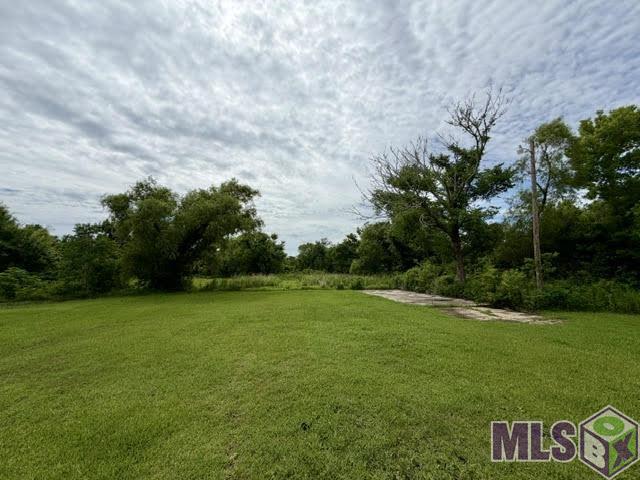 850 Crochetville Road Montegut, LA 70377 - Photo 5 of 20 Backyard