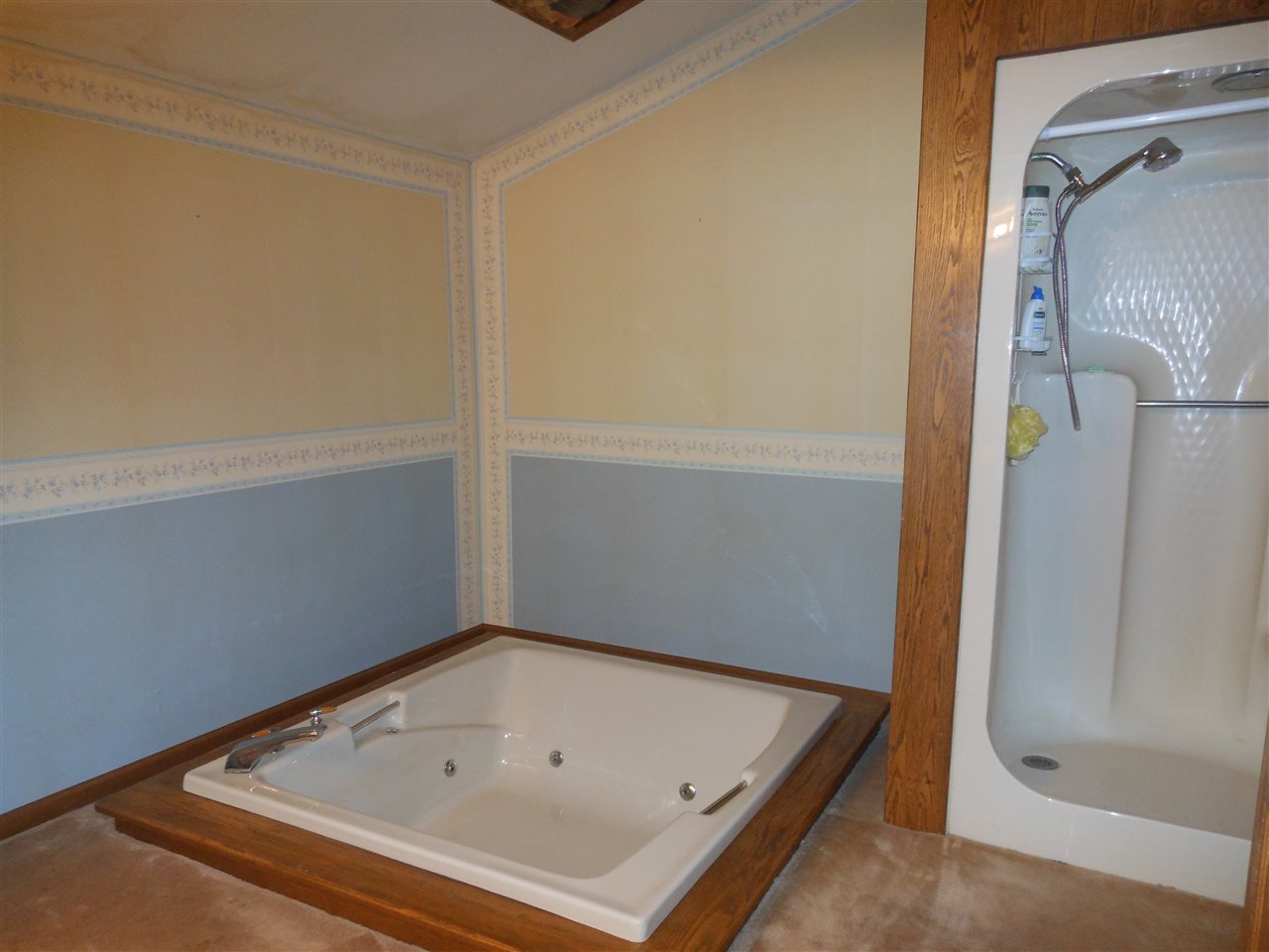 10440 Haist Road Bay Port, MI 48720 - Photo 9 of 19 50006194-8.JPG