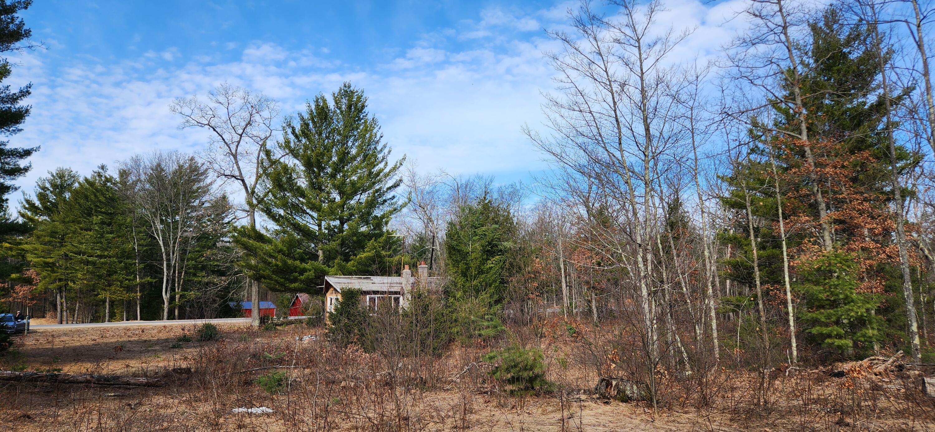 7746 North Woodbridge Road Brohman, MI 49312 - Photo 8 of 41 10 acres