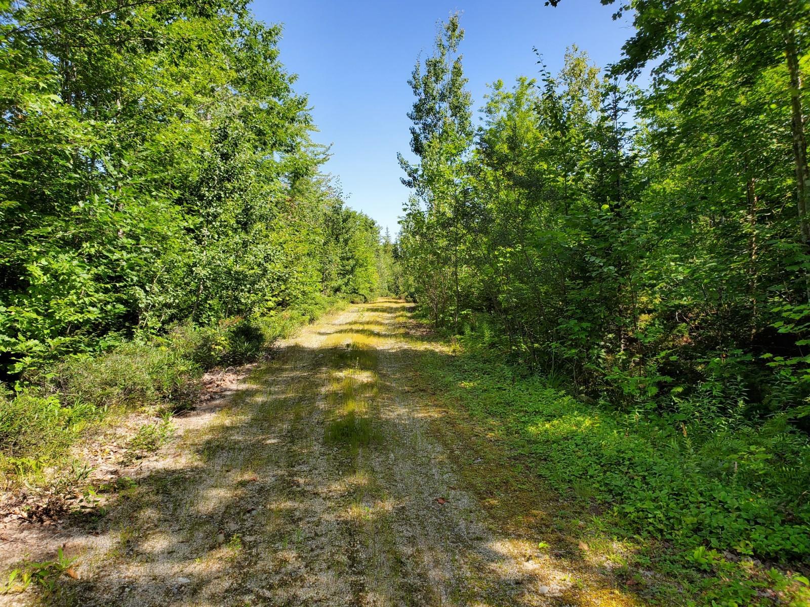 38 L Road Deblois, ME 04622 - Photo 10 of 13 20210816_105252