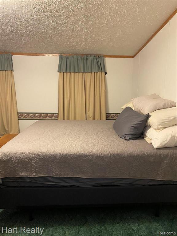 5355 Chambers Road Mayville, MI 48744 - Photo 10 of 27
