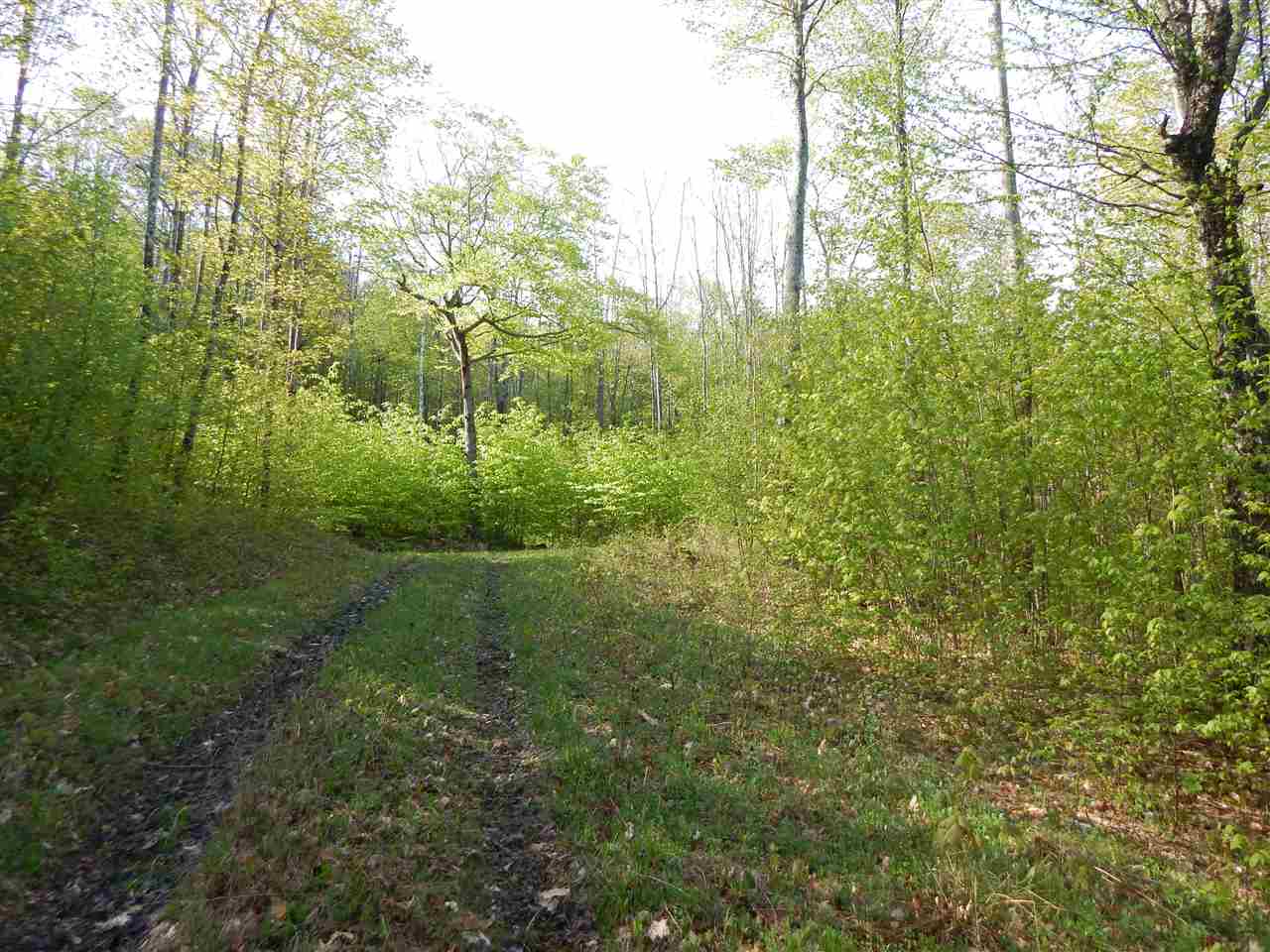 598 Mad Meadows Road, Unit 8A 11 & 12 Warren, VT 05674 - Photo 14 of 35