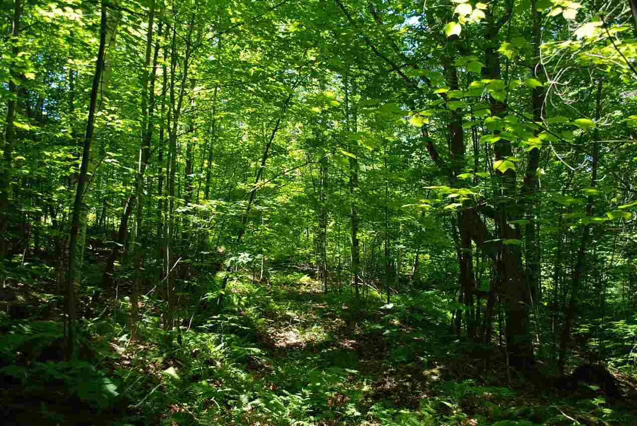598 Mad Meadows Road, Unit 8A 11 & 12 Warren, VT 05674 - Photo 20 of 35