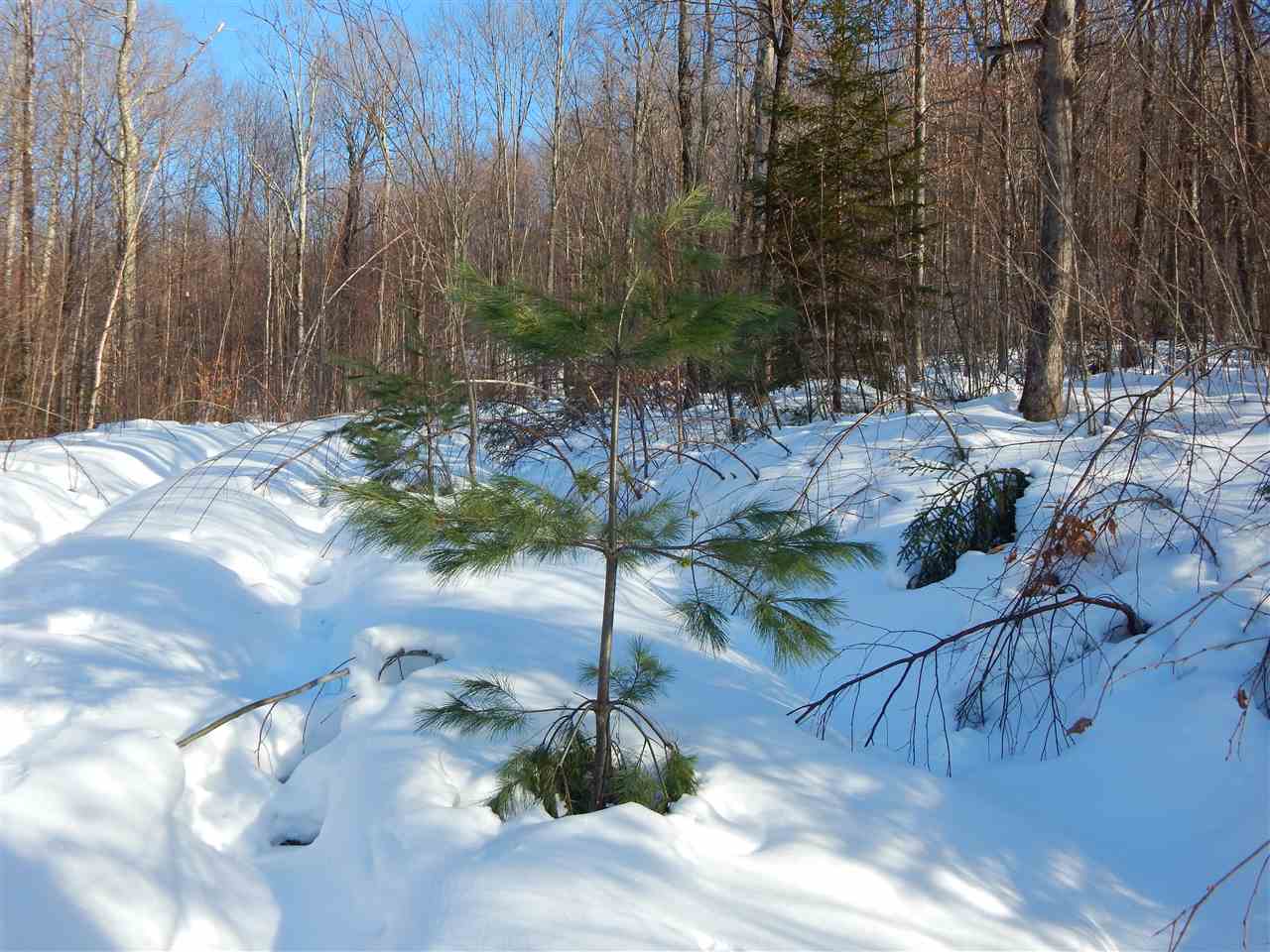 598 Mad Meadows Road, Unit 8A 11 & 12 Warren, VT 05674 - Photo 29 of 35