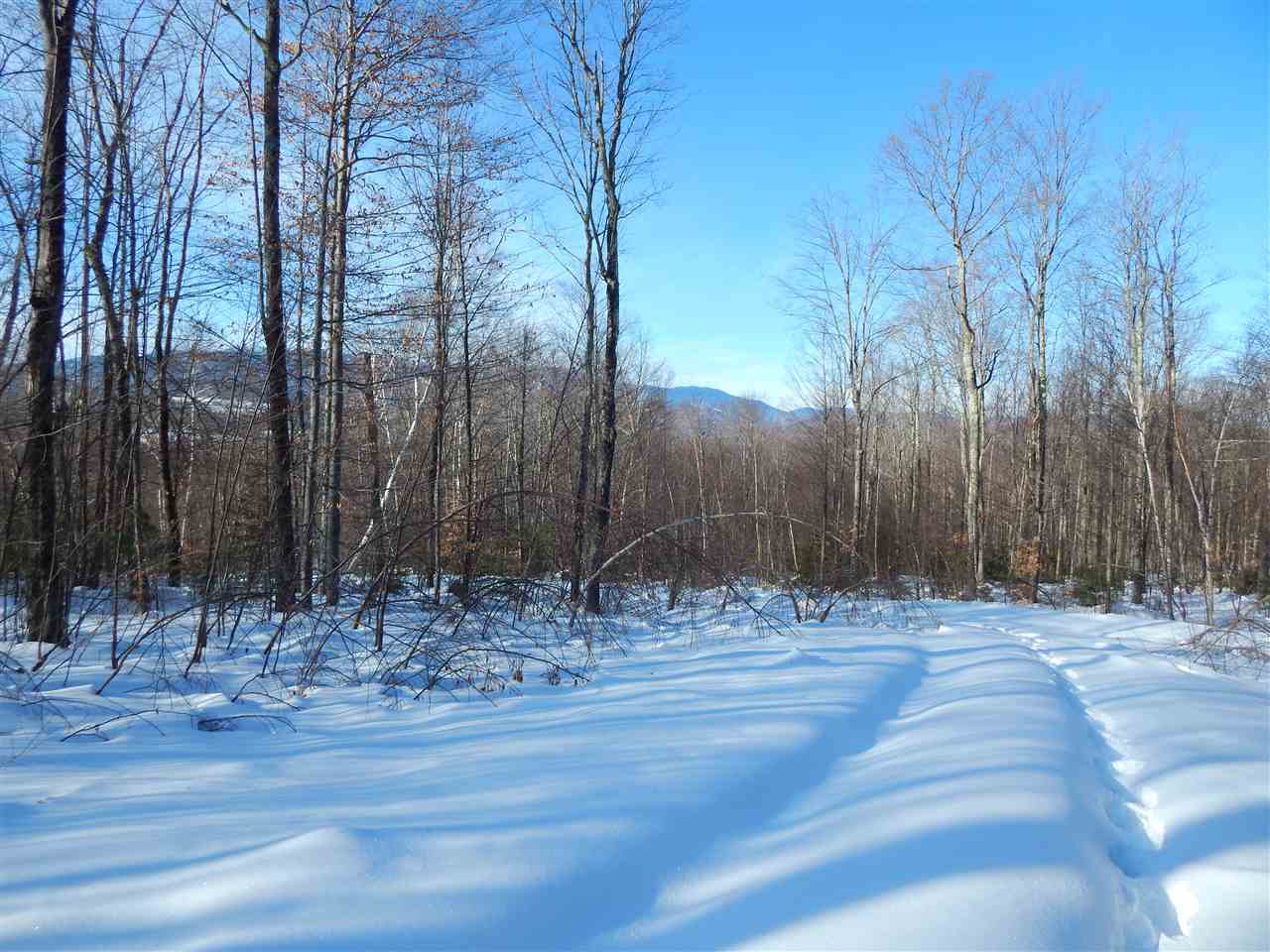 598 Mad Meadows Road, Unit 8A 11 & 12 Warren, VT 05674 - Photo 31 of 35