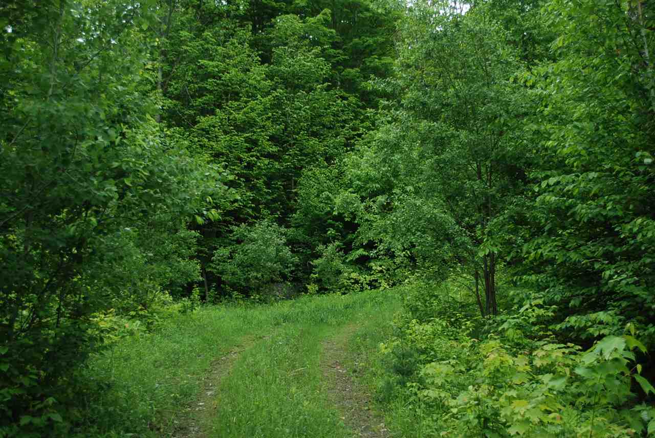 598 Mad Meadows Road, Unit 8A 11 & 12 Warren, VT 05674 - Photo 8 of 35