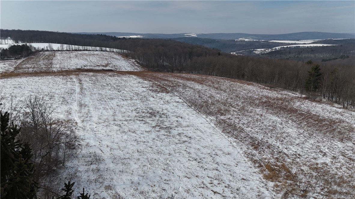 55 Kimble Road Catlin, NY 14812 - Photo 5 of 9 Mostly level land, partially wooded in back right