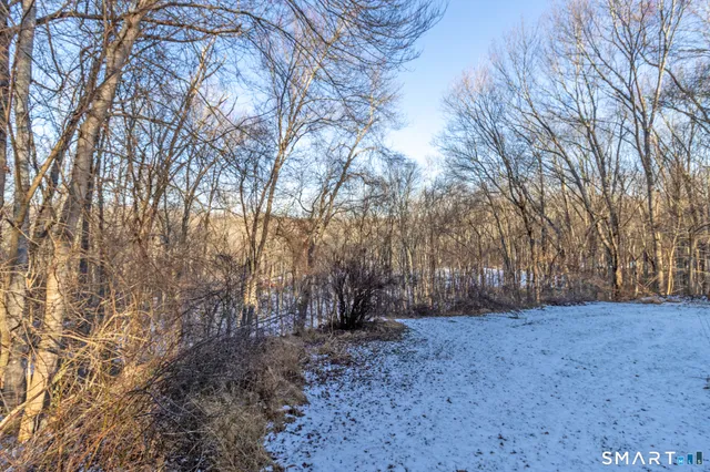 a view of a yard with a tree
