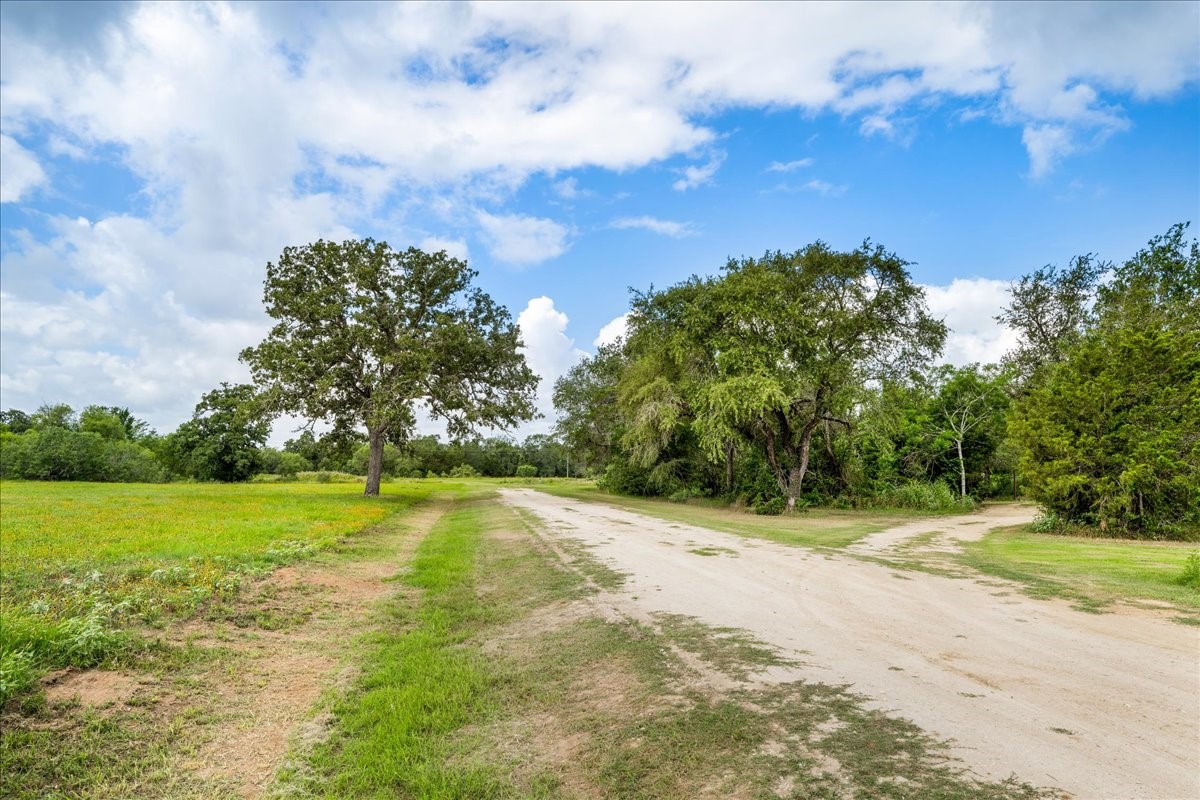2845 Boehnke Road Muldoon, TX 78949 - Photo 25 of 39 a view of a trees in a yard